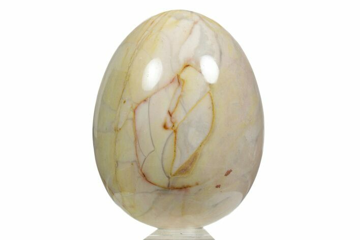 Polished Polychrome Jasper Egg - Madagascar #356279